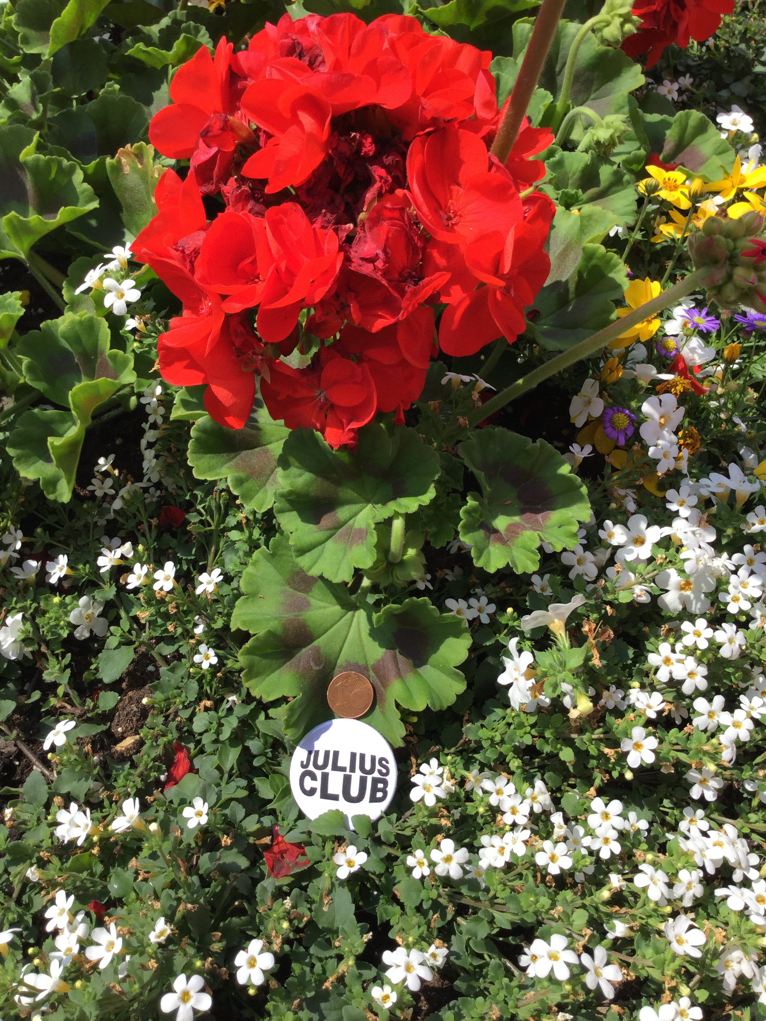 891AFE62-8105-42AB-9F6E-8B557AE65BFC