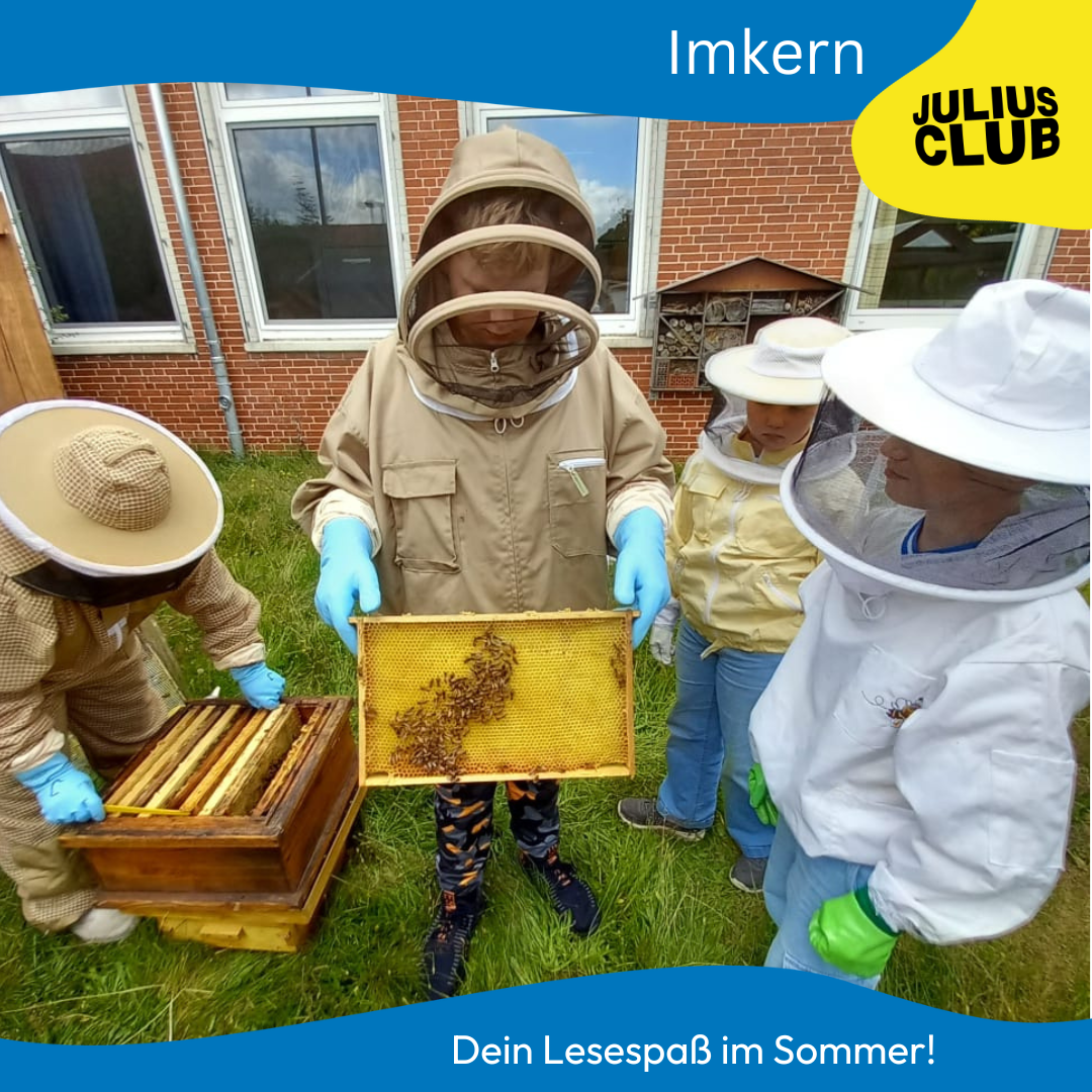 #6 Imkern 🐝🍯